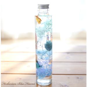 ハーバリウム ブルーハワイ カクテル- Blue...の商品画像