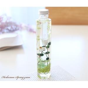 ハーバリウム 春のグリーン- Spring gr...の商品画像