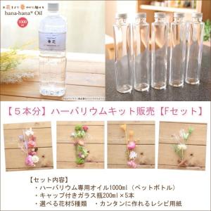 春 ハーバリウム キット 花材 手作り 【5本分】ハーバリウムお試しキット【Fタイプ】（オイル1本、ガラス瓶5本、花材セット5種類） 送料無料