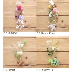 春 ハーバリウム キット 花材 手作り 【5本...の詳細画像2