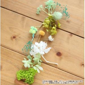 ハーバリウム キット 手作り スターターキット...の詳細画像1