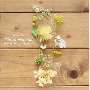 ハーバリウム キット 手作り スターターキット 花材 【お試しキット】ハーバリウム花材セット１本分（シルバーデージー・イエロー） シルバーデージー かすみ草