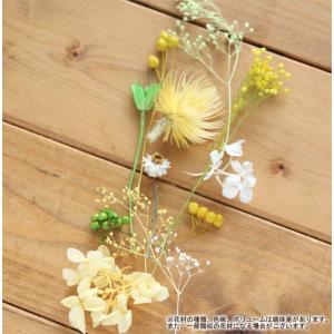 ハーバリウム キット 手作り スターターキット...の詳細画像1