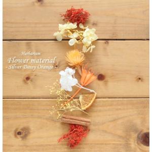 ハーバリウム キット 手作り スターターキット 花材 【お試しキット】ハーバリウム花材セット１本分（シルバーデージー・オレンジ） シルバーデージー オレンジ