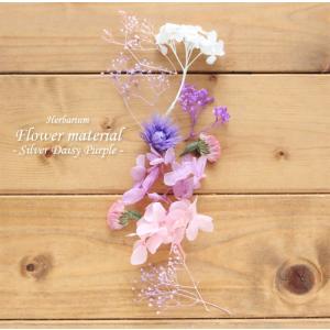 ハーバリウム キット 手作り スターターキット 花材 【お試しキット】ハーバリウム花材セット１本分（シルバーデージー・パープル） シルバーデージー