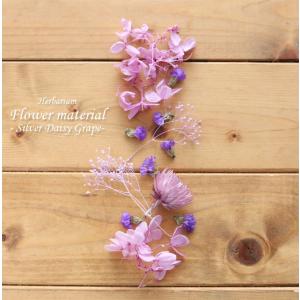 ハーバリウム キット 手作り スターターキット 花材 【お試しキット】ハーバリウム花材セット１本分（シルバーデージー・グレープ） スターチス