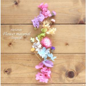 ハーバリウム キット 手作り スターターキット 花材 ドライフラワー 【お試しキット】ハーバリウム花材セット１本分（トロピカル） カラフル かわいい ピンク