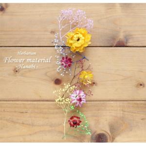 ハーバリウム キット 手作り スターターキット 花材 【お試しキット】ハーバリウム花材セット１本分（花火） 夏 カラフル かすみ草 ヘリクリサム かわいい