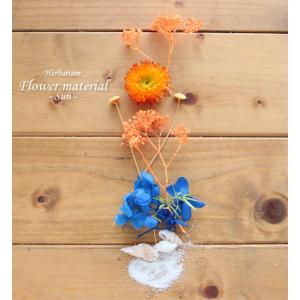 ハーバリウム キット 手作り スターターキット 花材 【お試しキット】ハーバリウム花材セット１本分（海と太陽） 海 太陽 夏 青 砂浜 砂