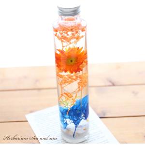 ハーバリウム 海と太陽 - Sea&Sun - ...の商品画像