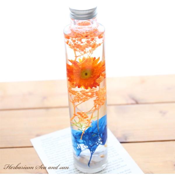 ハーバリウム 海と太陽 - Sea＆Sun - 【完成品】 夏 ハーバリウム オリジナル 母の日 誕...