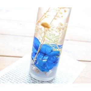 ハーバリウム 海と太陽 - Sea&Sun -...の詳細画像1