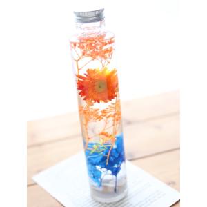 ハーバリウム 海と太陽 - Sea&Sun -...の詳細画像2