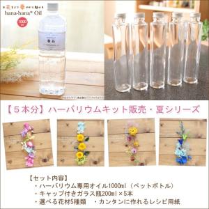 夏 ハーバリウム キット 花材 手作り 【5本分】ハーバリウムお試しキット【夏シリーズ】（オイル1本、ガラス瓶5本、花材セット5種類） 送料無料