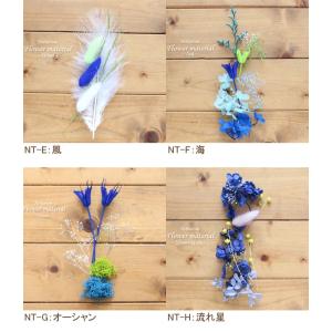 夏 ハーバリウム キット 花材 手作り 【5本...の詳細画像2