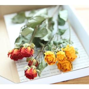 スプレーローズ ピンク系 3本 【ドライフラワー 国産】 【AS-3】 【 花