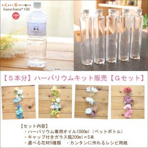 ハーバリウム キット 花材 手作り 【5本分】ハーバリウムお試しキット【Gタイプ】（オイル1本、ガラス瓶5本、花材セット5種類） 送料無料