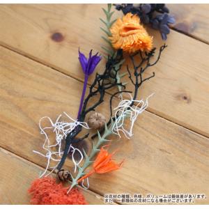 【ハロウィン】ハーバリウム花材セット1本分(ハ...の詳細画像1