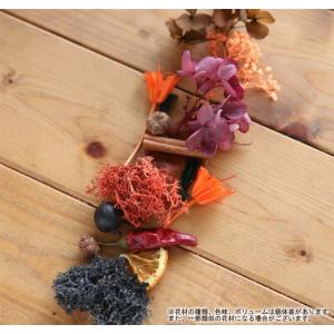 【ハロウィン】ハーバリウム花材セット1本分(ハ...の詳細画像1