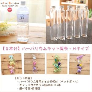 ハーバリウム キット 花材 手作り 【5本分】ハーバリウムお試しキット【Hタイプ】（オイル1本、ガラス瓶5本、花材セット5種類） 送料無料