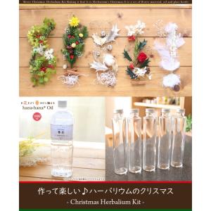 クリスマス ハーバリウム キット 花材 手作り ...の商品画像