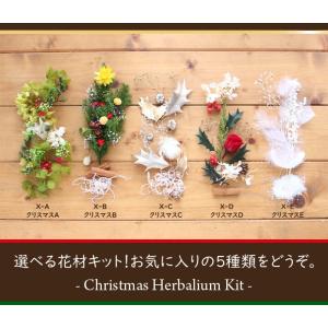 クリスマス ハーバリウム キット 花材 手作り...の詳細画像2