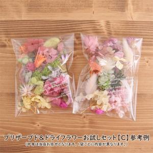 【おまかせ】プリザーブド&ドライフラワーお試し...の詳細画像1