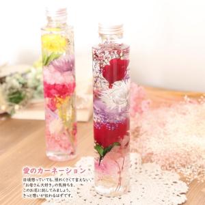 送料無料 母の日 ハーバリウム【完成品 2本セ...の詳細画像1