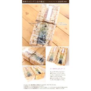 【完成品】 ハーバリウム(木漏れ日) 緑 グリ...の詳細画像4