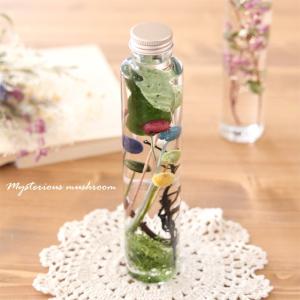 【完成品】 ハーバリウム（不思議なキノコ） きのこ おとぎの国 おとぎ話 ギフト 誕生日 結婚祝い 送料無料 オリジナル オシャレ 綺麗 贈り物 母の日 お祝い