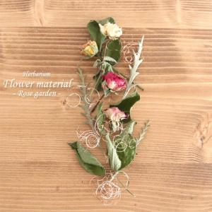 【ハーバリウムキット】 ハーバリウム 花材セット１本分 （ローズガーデン） バラ ローズ おとぎの国 おとぎ話 花 ギフト