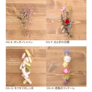 【5本分】【おとぎの国シリーズ】 ハーバリウム...の詳細画像2