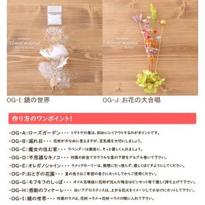 【5本分】【おとぎの国シリーズ】 ハーバリウム...の詳細画像3
