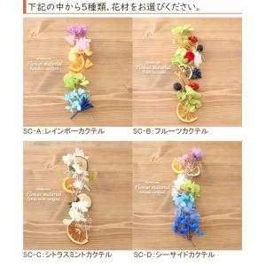【5本分】【サマーカクテル】 ハーバリウムキッ...の詳細画像1