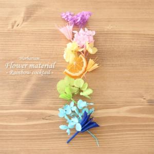 【ハーバリウムキット】 ハーバリウム 花材セット１本分 （レインボーカクテル）