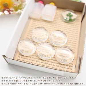 <固まるオイル&作り方用紙付き> アクリル 箸...の詳細画像1