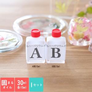 固まるハーバリウム COOL A*RT 3Dプレミアム 1.6L (A液800ml・B液