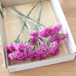 スターチス ドライフラワーの商品一覧 通販 Yahoo ショッピング