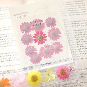 押し花 ノースポールの商品一覧 通販 Yahoo ショッピング