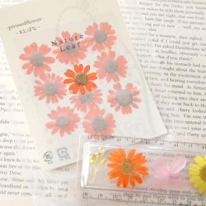 押し花 ノースポールの商品一覧 通販 Yahoo ショッピング