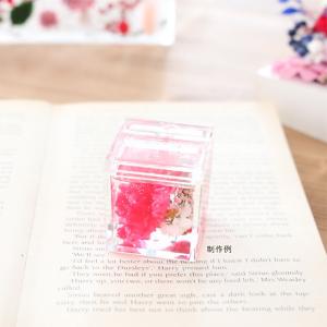アクリル カードスタンド 本体のみ 【2点セッ...の詳細画像4