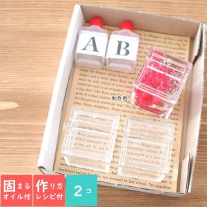 ＜固まるオイル＆作り方用紙付き＞ アクリル カードスタンド キット 【2点セット】 固まる ハーバリウム 制作キット 手作りキット 送料無料