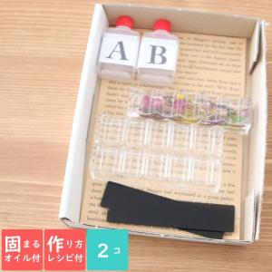 アクリル キーホルダー キット （ブタ） 【5点セット】 固まる ハー