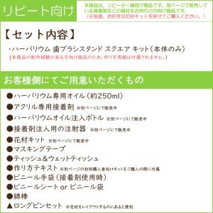 【リピート向け】 ハーバリウム 歯ブラシスタン...の詳細画像2
