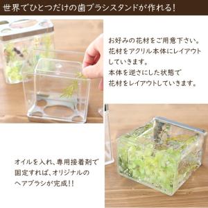 【リピート向け】 ハーバリウム 歯ブラシスタン...の詳細画像3