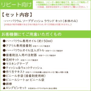 ハーバリウム ソープディッシュ ラウンド キッ...の詳細画像2