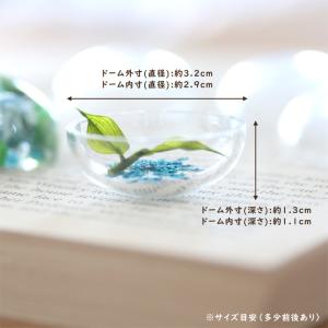 <固まるオイル&作り方用紙付き> アクリル ド...の詳細画像4