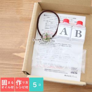 <固まるオイル&作り方用紙付き> アクリル ドー...の商品画像