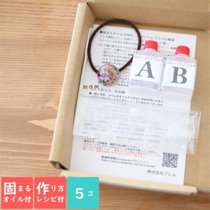 <固まるオイル&作り方用紙付き> アクリル ドー...の商品画像
