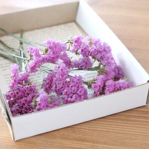 スターチス ピンク の商品一覧 通販 Yahoo ショッピング